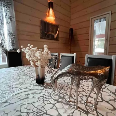 Feriehus Levi Auroras - House In Utsuvaara, Levi, Finland