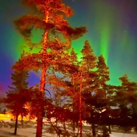 Levi Auroras - House In Utsuvaara, Levi, Finland Feriehus Kittilä